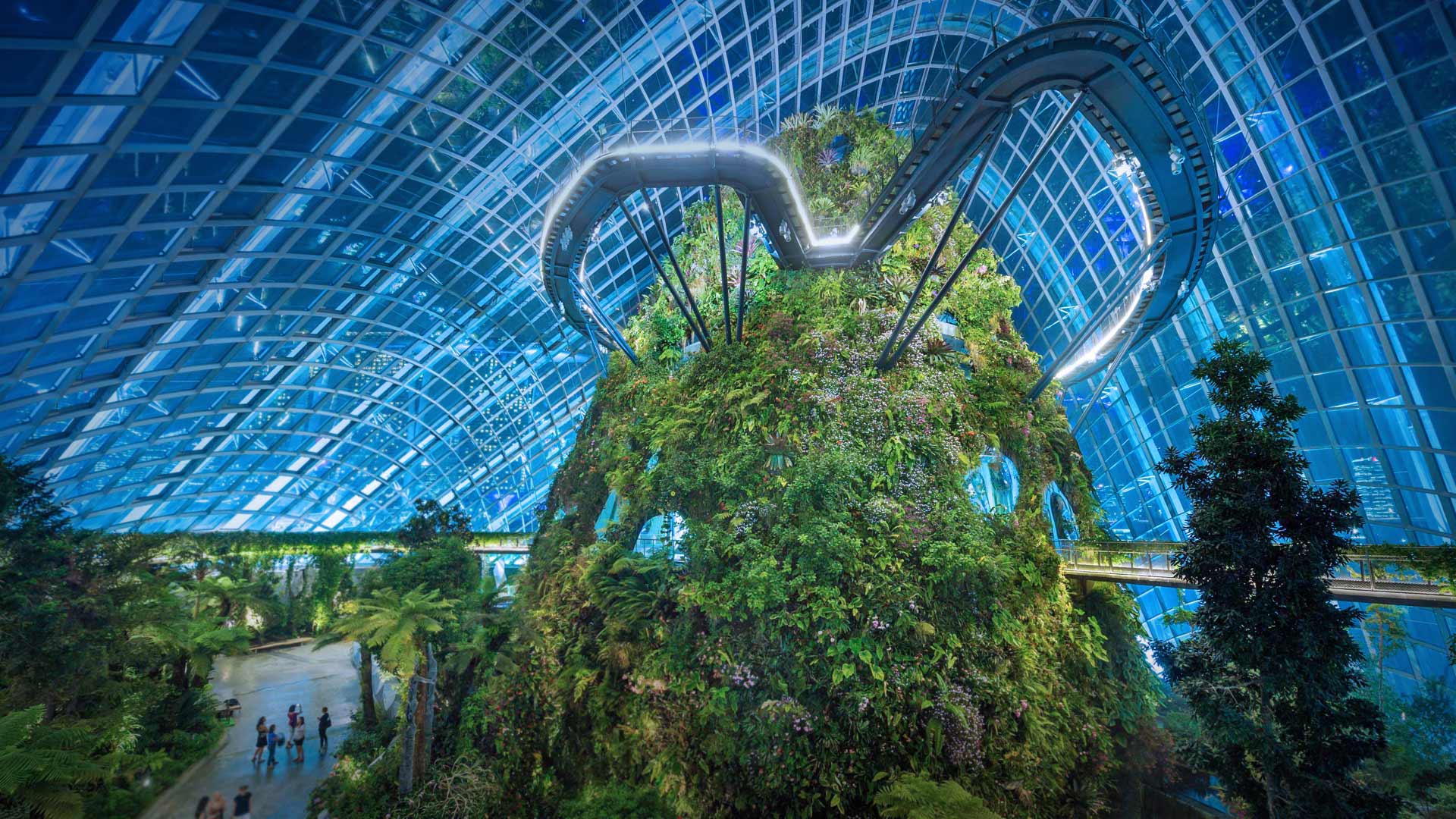 新加坡的未来愿景 滨海湾花园，新加坡 (© Hemis/Alamy Stock Photo)