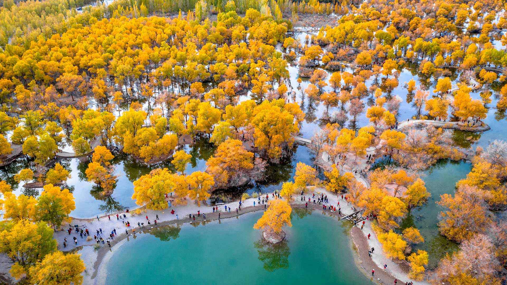 被胡杨树围绕着的湖, 金塔县, 酒泉, 甘肃, 中国 (© Feng Wei Photography/Getty images)