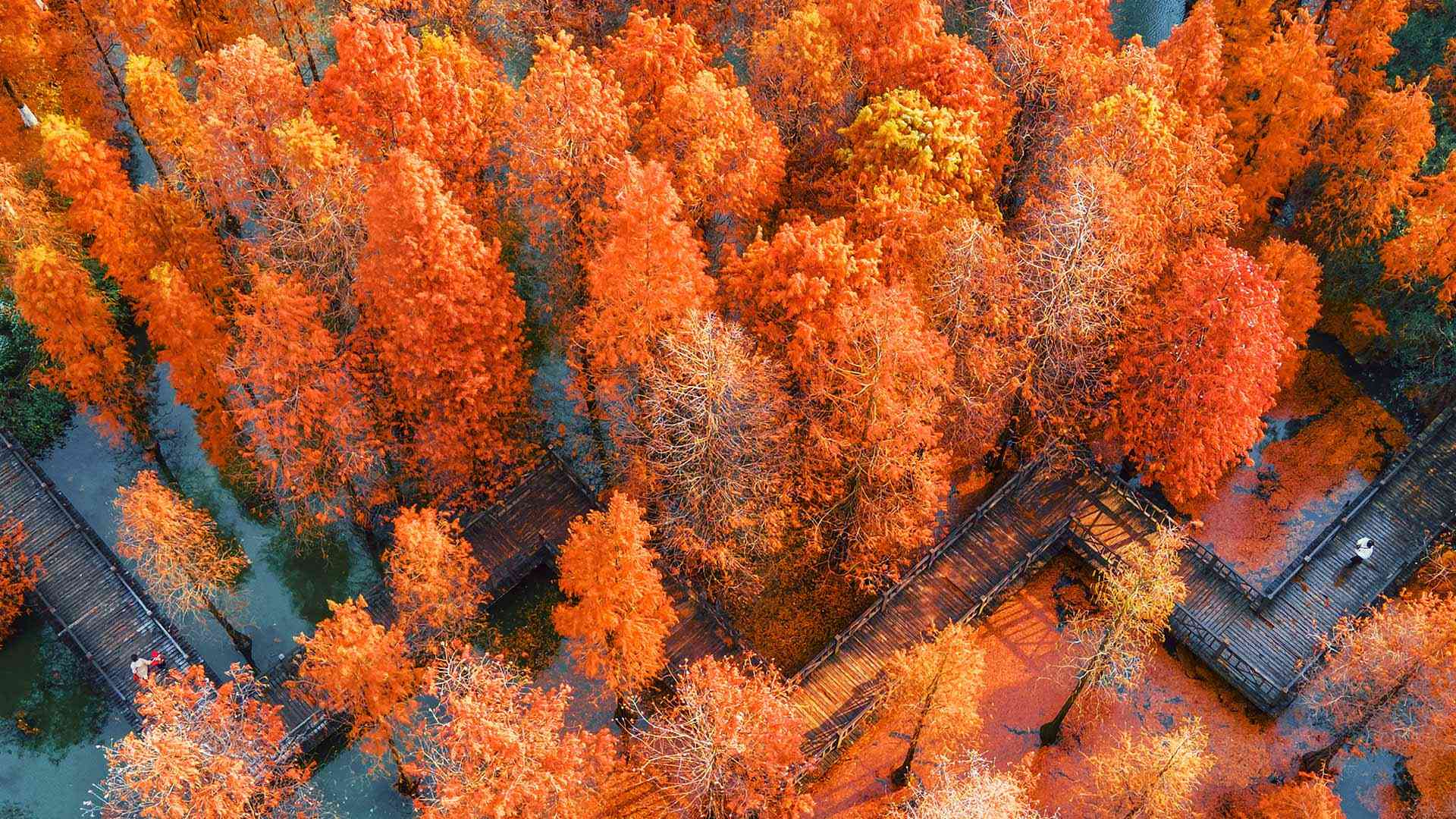 航拍中国江苏省常州翠竹公园 (© Xu Changyu/Getty images)