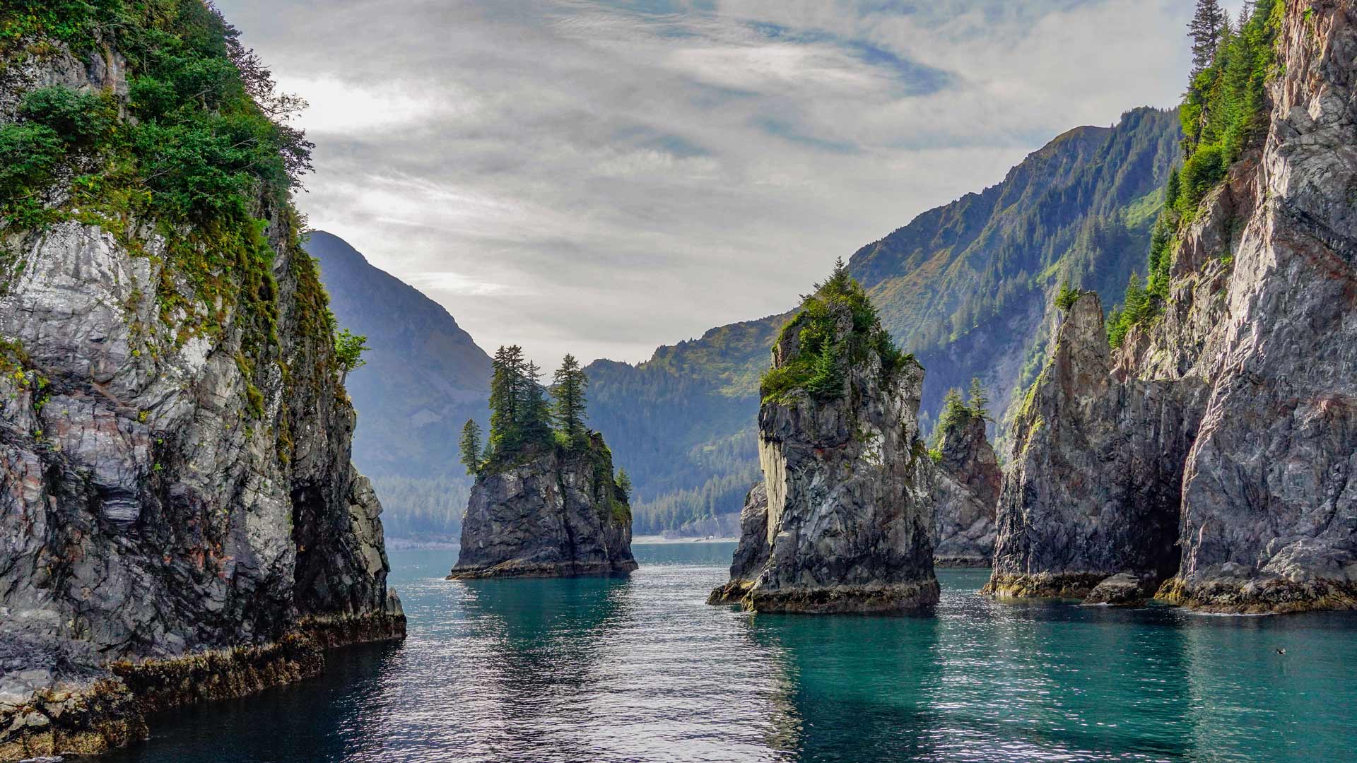 阿拉斯加基奈峡湾国家公园尖顶湾, 阿拉斯加州苏厄德, 美国 (© Wander Photography/Getty Images)